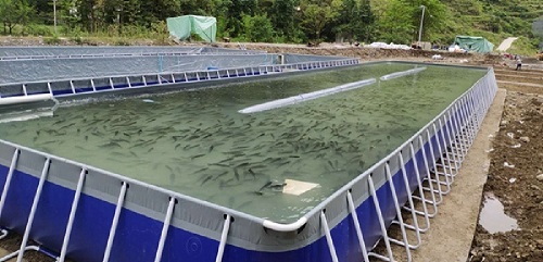 透徹講解水產(chǎn)養(yǎng)殖“溶解氧”，通俗易懂。